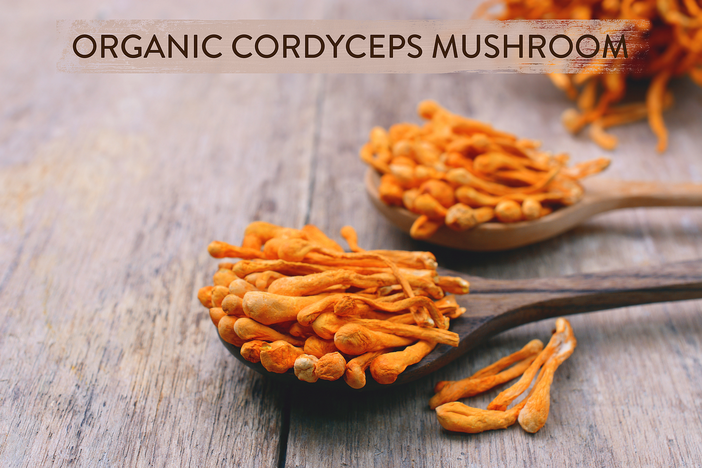 Go Tireless- mushroom coffe with Chanterelle and Cordyceps